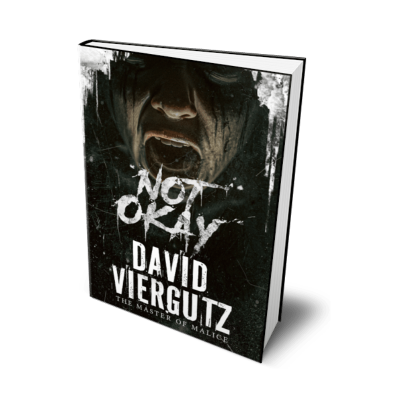 Not Okay (Paperback) - Author David Viergutz